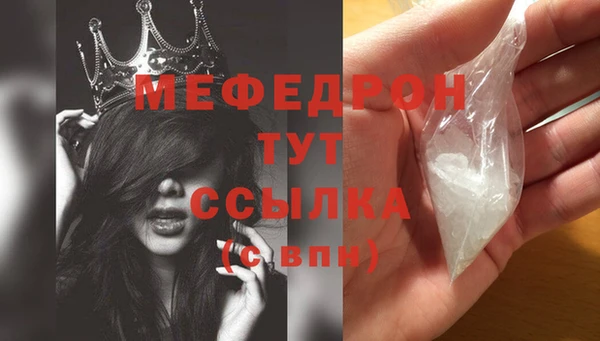 индика Аркадак