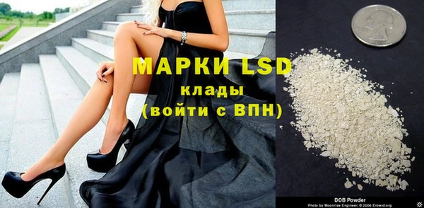 индика Аркадак