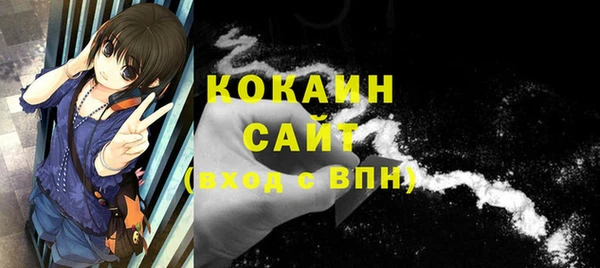 тгк Алексин