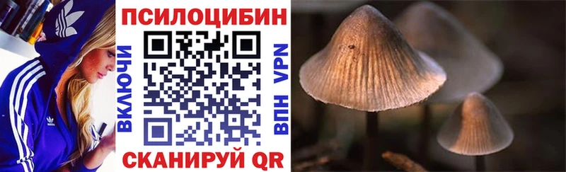 omg ТОР  Чудово  Псилоцибиновые грибы прущие грибы 